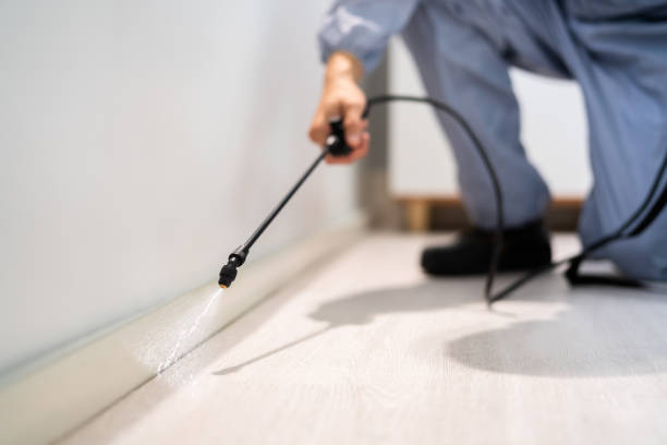 Licensed Pest Control service in Lawton, OK - Show Me Pest Control