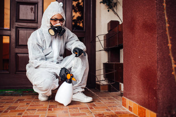 Reliable Ant Control contractor in Lawton, OK by Show Me Pest Control